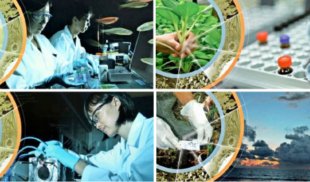 NUS-SJTU Joint Research Centre on Environment and Water