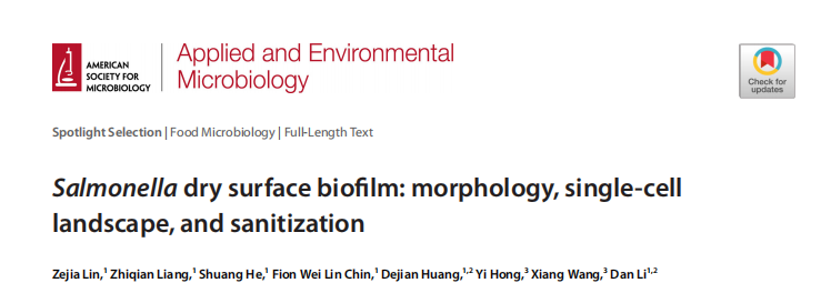 Salmonella dry surface biofilm: morphology, single-cell landscape, and sanitisation